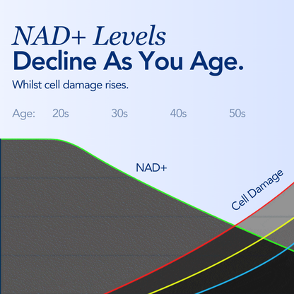 Cellora Healthy Ageing