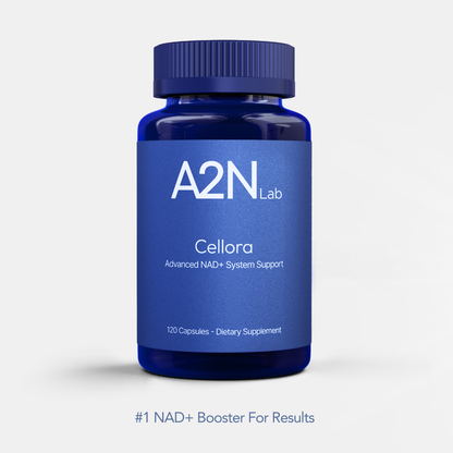 Cellora Healthy Ageing